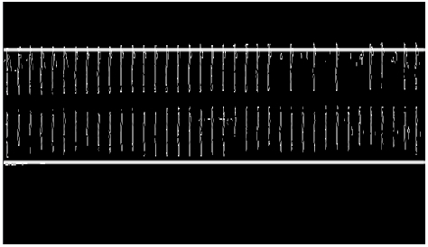 Fig. 12.