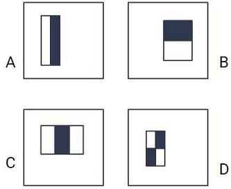 Fig. 9.
